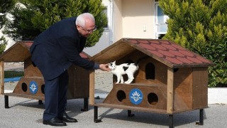 Karabağlar'ın 2023 yılı kedi evleri hazır