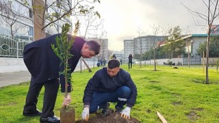 Karşıyaka'da Yeşil Seferberlik Sürüyor 'Hedef: 100 Bin Ağaç'