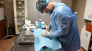 Kemer Belediyesi&#39;nden hayvanlara yardım eli