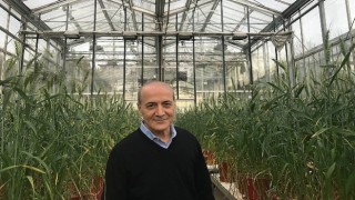 Sabancı Üniversitesi Öğretim Üyesi Prof. Dr. İsmail Çakmak Dünyanın En Etkili Bilim İnsanları Listesinde Türkiye'den Birinci Sırada