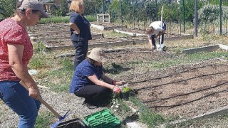 Tarım ve Bahçıvanlık Bahar Dönemi Eğitimleri Başlıyor