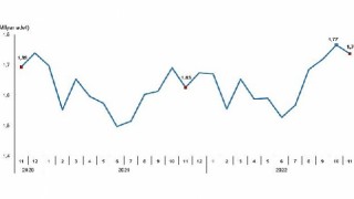 TÜİK Tavuk eti üretimi 200 bin 77 ton, tavuk yumurtası üretimi 1,74 milyar adet olarak gerçekleşti