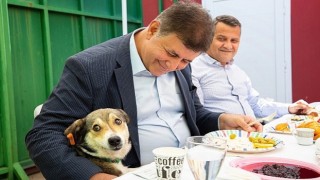 Karşıyakada 'Köpeklerin Dili Eğitimi Başlıyor