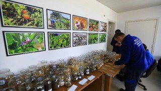 Muğla Büyükşehir Belediyesi Yerel Tohum Merkezi 2023 yılı için tohum dağıtımına başladı