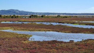 Sulak Alanları Onarma Zamanı