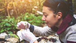 Türkiye den en az 21 öğrenciye, Birleşik Krallık ta burs fırsatı