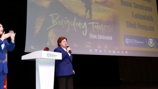 Buğday Tanesi filmine yoğun ilgi