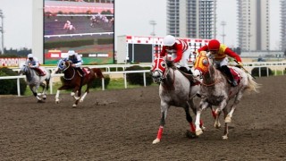 Veliefendi Hipodromunda “Çorlu Belediye Başkanlığı Koşusu” Düzenlendi