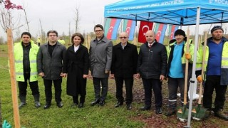 Azerbaycan ve Türkiye Kardeşliği Ormanına Haydar Aliyevin anısına 100 fidan
