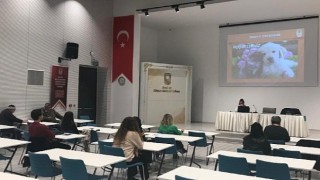 Can dostların koruyucuları oldular!