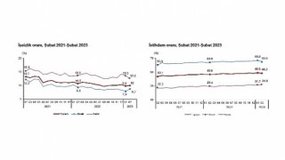 TÜİK: İşgücü İstatistikleri, Şubat 2023