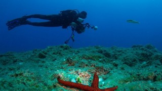 22. Uluslararası Kemer Su Altı Günleri