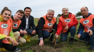 Cumhuriyetin 100. yılında 100 fidan toprakla buluştu!