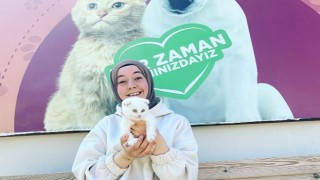 Depremzede kediler yeni evlerine kavuştu