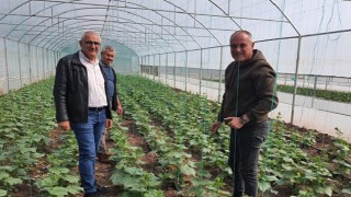 Gemlik Belediyesinde organik tarım çalışmaları sürüyor