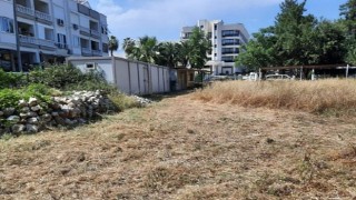 İlçe genelindeki yeşil alanlarda bakım çalışması