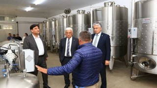 Üzüm Suyu, Sirke, Pekmez ve Şarap Üretim Tesisinde Çalışmalar Devam Ediyor