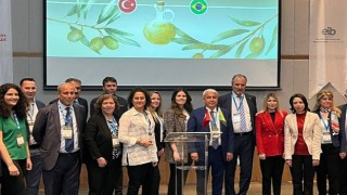 Zeytinyağı ihracatçıları Brezilya pazarında güçleniyor