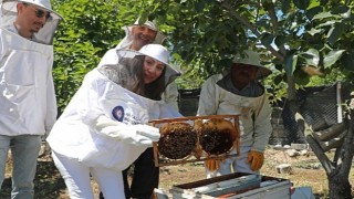 Antalya Büyükşehir kursiyerleri kovan başında arıcılık eğitimi aldı