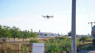 Ayvalıkta dronların hedefinde sinekler var