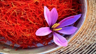 Kaliteli bir uykunun anahtarı Kırmızı Altın