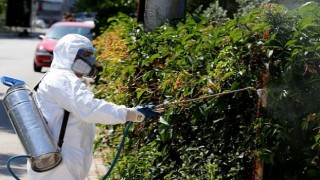 Karşıyakada sinek ve haşereyle etkin mücadele