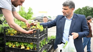 Kartepe de 60 bin fide daha toprakla buluştu