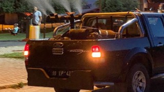 Sineksiz bir Edremit için..