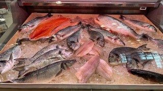 Amerikalıların protein ihtiyacını karşılamaya gittiler