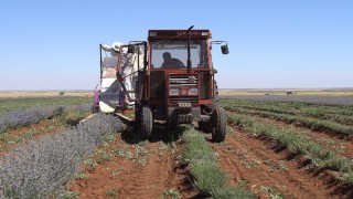 Başkan Altay “Şehrimizin Kalkınmasına Katkı Sağlayan Çiftçimizin Yanında Olmaya Devam Edeceğiz”