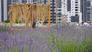 Başkan Altınok fotoğrafçıları Lavanta ve Gül bahçesine davet etti 