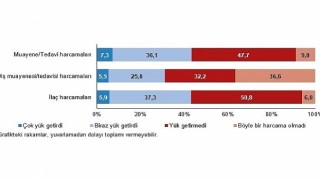 Muayene ve tedavi harcamaları hanelerin yüzde 7,3&;üne çok yük getirdi