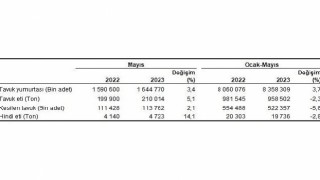 Tavuk eti üretimi 210 bin 14 ton, tavuk yumurtası üretimi 1,64 milyar adet olarak gerçekleşti