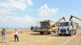 Torbalı Belediyesi Buğday Hasadı
