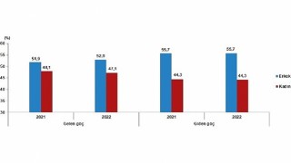 Yurt dışından Türkiye ye 494 bin 52 kişi göç etti