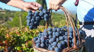 “Bu yılki üzümü Karabağlar Belediyesi&#39;ne borçluyuz”