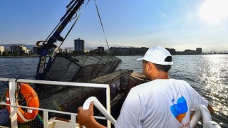 İzmir Körfezine ekolojik dokunuş