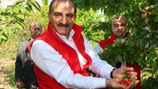 Kirazda rekor yılı 205 milyon dolara ulaştı