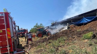 Muğla Büyükşehir Acil Müdahale Aracı ile Yangından Etkilenen Hayvanlara Müdahale