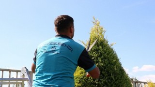 Park ve bahçelerde sonbahar budaması