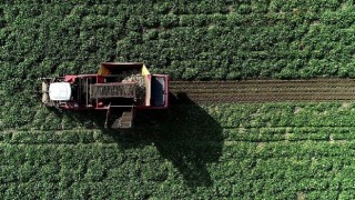 Erzurum ve Erzincanda tarımsal dönüşüm devam ediyor