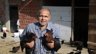 Kocaelide yüzde 50 hibeli tavuk desteği üreticilerin yüzünü güldürdü