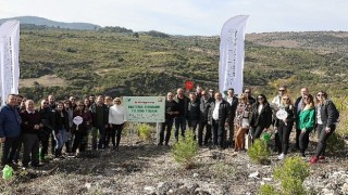 Aksigorta Hatıra Ormanı İzmitten Sonra  Manisada Yeşeriyor