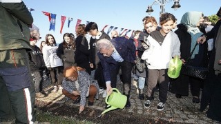 Baharı müjdeleyecek olan laleler, üsküdarda toprakla buluştu