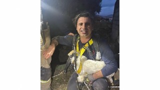 Bir aydır kayıp olan Pamuku İzmir İtfaiyesi sahibine kavuşturdu