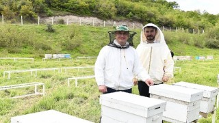 Mustafakemalpaşa tarımda en bereketli dönemini yaşıyor