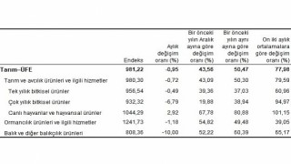 Tarım ürünleri üretici fiyat endeksi (Tarım-ÜFE) yıllık yüzde 50,47 arttı, aylık yüzde 0,95 azaldı