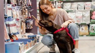 Türkiye evcil hayvan ürünleri pazarında