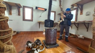 Engelli kedilerin soba keyfi