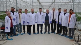 Konya jeotermal topraksız tarımın üssü oluyor